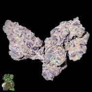 In House Genetics Midnight Drip