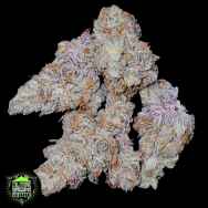In House Genetics Mint Smoothie