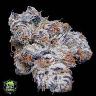 In House Genetics Mint Berry Kush