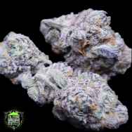 In House Genetics Platinum Zurkle