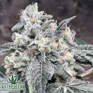 Katsu Bluebird Seeds Sour Bubba