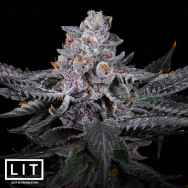 LIT Farms Seeds Rainbow Zoap