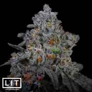 LIT Farms Seeds Superchronic