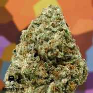 Massive Creations Seeds Lemon Hammer