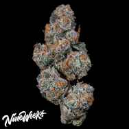 Nine Weeks Harvest Grape Squeeze