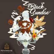 Penthouse Seeds Black Sundae
