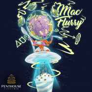Penthouse Seeds AUTO MAC Flurry