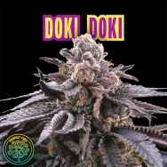 Perfect Tree Seeds Doki Doki (CHERRYTINI LINE FEM)
