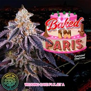 Perfect Tree Seeds Baked in Paris (JET A LINE FEM)