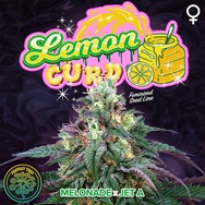 Perfect Tree Seeds Lemon Curd (JET A LINE FEM)