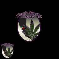 Purple Caper Seeds Strawberry Banana OG