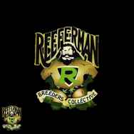 Reeferman Seeds Nigerian Nightmare