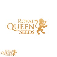 Royal Queen Seeds Lucky Dip