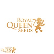 Royal Queen Seeds Lucky Dip