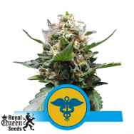 Royal Queen Seeds Royal Medic CBD