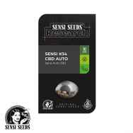 Sensi Seeds Research #34 CBD AUTO