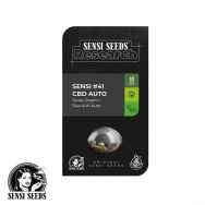 Sensi Seeds Alpine Delight CBD AUTO aka Research #41 CBD AUTO
