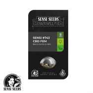 Sensi Seeds Satin Black Domina CBD aka Research #743 CBD