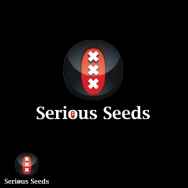 Serious Seeds Chem x LP4