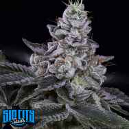 SinCity Seeds Nuclear Power