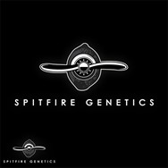 Spitfire Genetics Zapp