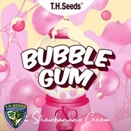 T H Seeds OG Bubblegum X SBC