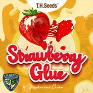 T H Seeds Strawberry Glue X SBC
