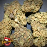 Taste-Budz Seeds AUTO Forbidden Fruitz