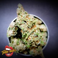 Taste-Budz Seeds Hash Cake