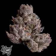 Wizard Trees Genetics Cauldron