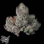 Wizard Trees Genetics Studio Cherry