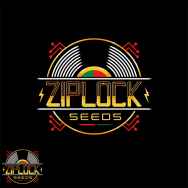 Ziplock Seeds Night Vision