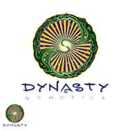 Dynasty Genetics Seeds Promotion