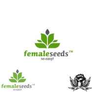Female Seeds X-Line Auto Haze