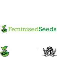 Feminised Seeds Company Indoor Mix Collection