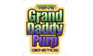 GrandDaddy Purple Seeds