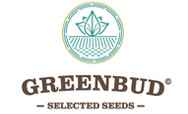 Greenbud Seeds