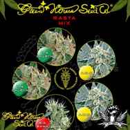 Green House Seeds Rasta Mix