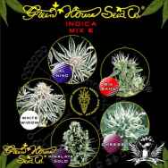 Green House Seeds Indica Mix E