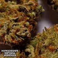 Homegrown Natural Wonders Jack Straw