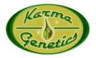 Karma Genetics Seeds