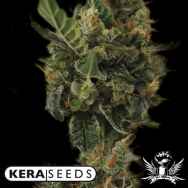 Kera Seeds Cherry Grapefruit