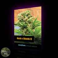 Seedism Seeds Kush x Skunk #3