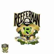 Reeferman Seeds Love Potion #1