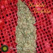 Mandala Seeds Hubble Bubble