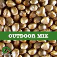 Kiwi Seeds Outdoor Mix