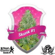 Royal Queen Seeds Skunk #1