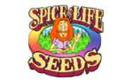 Spice of Life Seeds