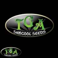 TGA Subcool Seeds Strawberry Diesel x Space Dude