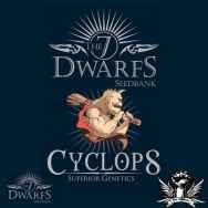 The 7 Dwarfs Seeds Cyclops Autoflowering